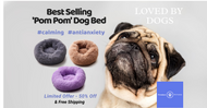 Pom Pom Dog Bed - Gift Card